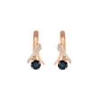 Picture of Sapphire earrings