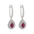 Picture of Ruby and diamond earrings