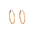 Picture of Gold hoops 1,8 cm