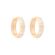 Picture of Gold hoops