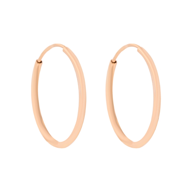 Изображение Серьги