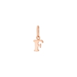Picture of Initial pendant "F"