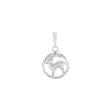 Picture of Capricorn pendant