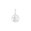 Picture of Sagittarius pendant