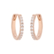 Picture of CZ earrings
