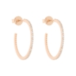 Picture of CZ earrings