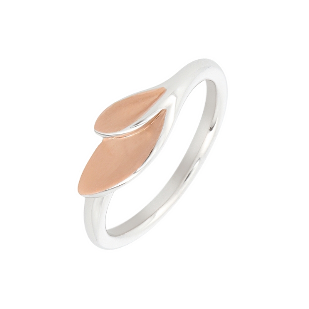 Изображение Кольцо