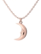 Изображение Tanel Veenre Jewellery "Rose Moon" подвеска
