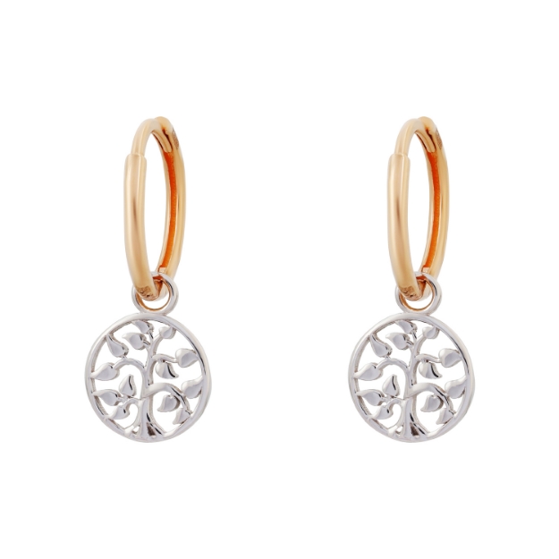 Picture of Gold earrings