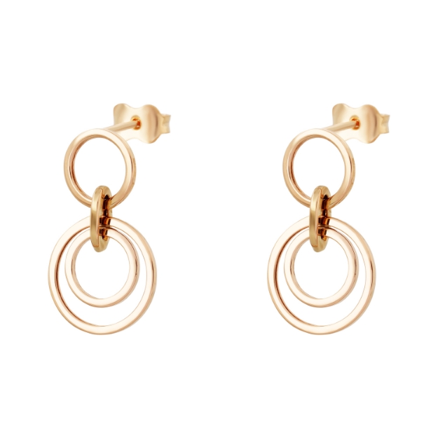 Picture of Gold earrings