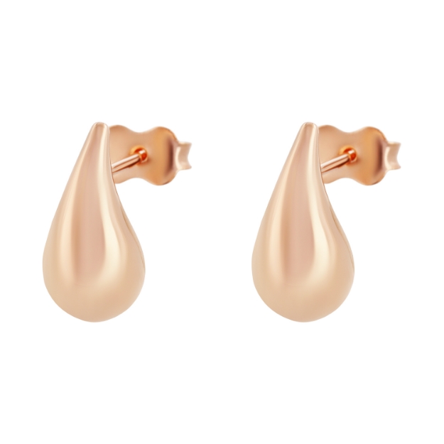 Picture of Gold earrings