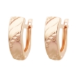 Picture of Gold earrings