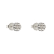 Picture of Earrings CZ