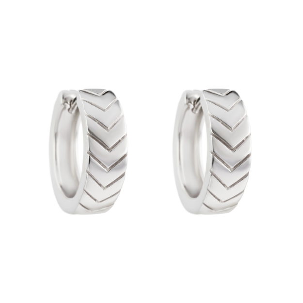 Picture of Earrings