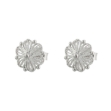 Picture of Earrings