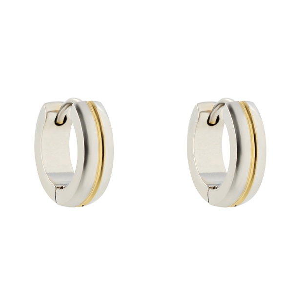 Pilt Kõrvarõngad teras