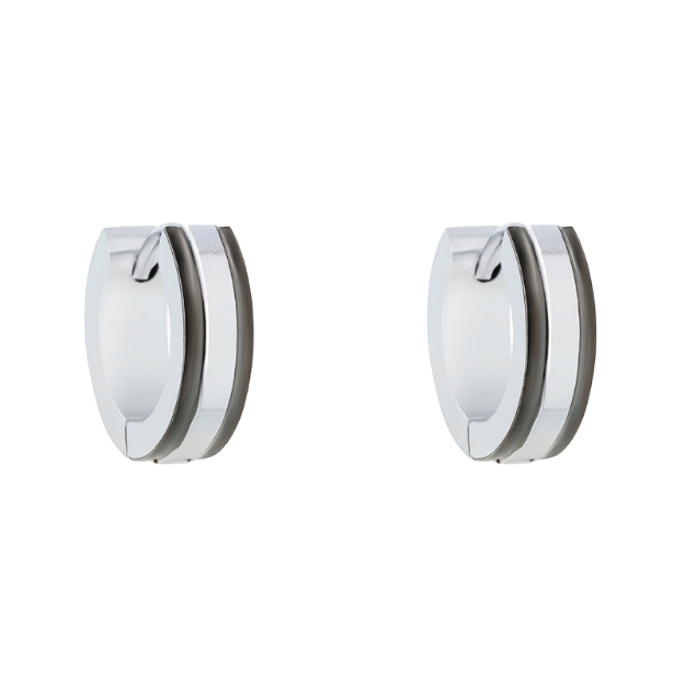 Pilt Kõrvarõngad teras