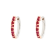 Picture of Ruby and Diamond Earrings