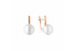 Picture of Gaura pearl earrings