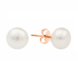 Picture of Gaura pearl earrings