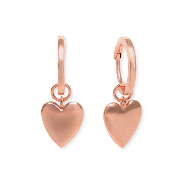 Picture of Earrings