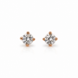 Picture of Earrings