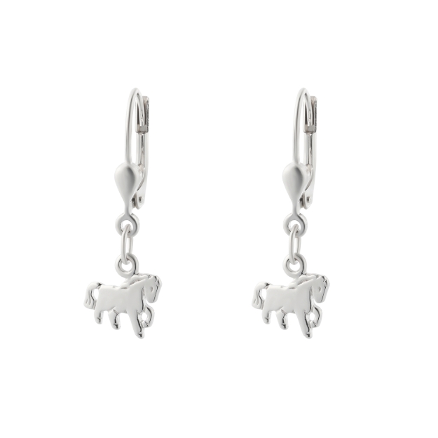 Picture of Sueno earrings