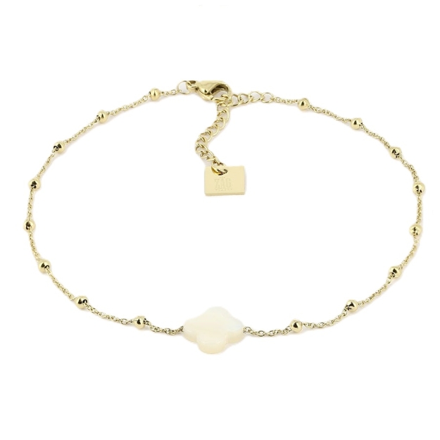 Picture of ZAG Anklet