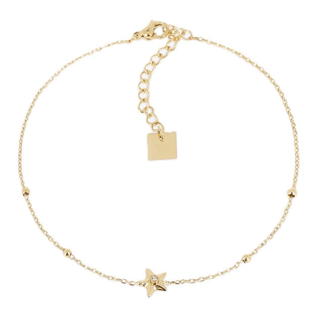 Picture of ZAG Anklet