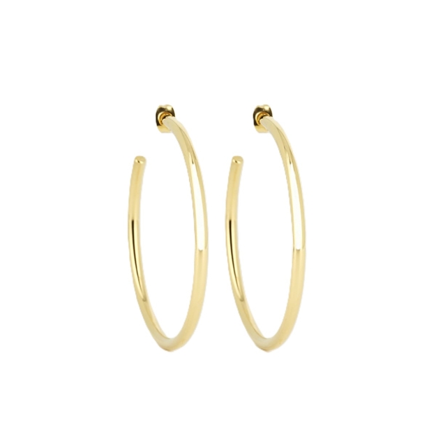 Picture of ZAG Earrings