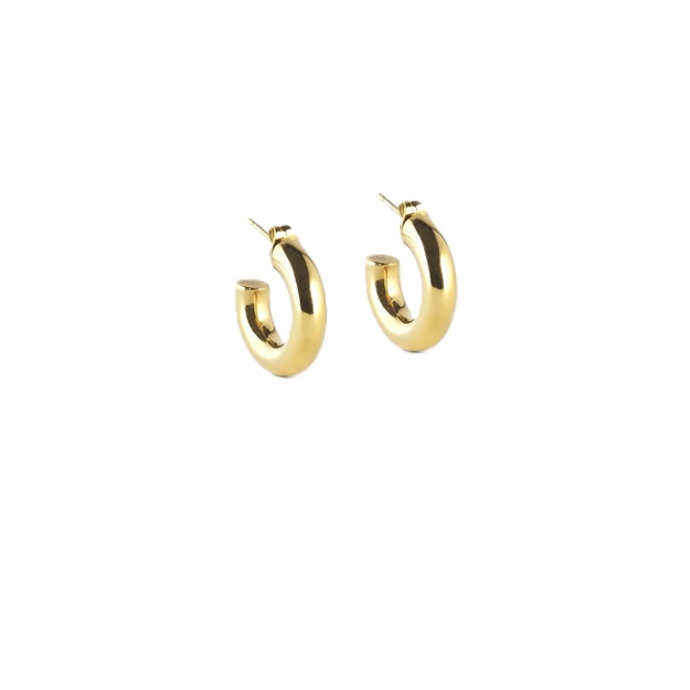 Picture of ZAG Earrings