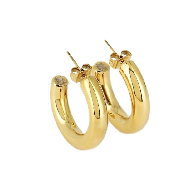 Picture of ZAG Earrings
