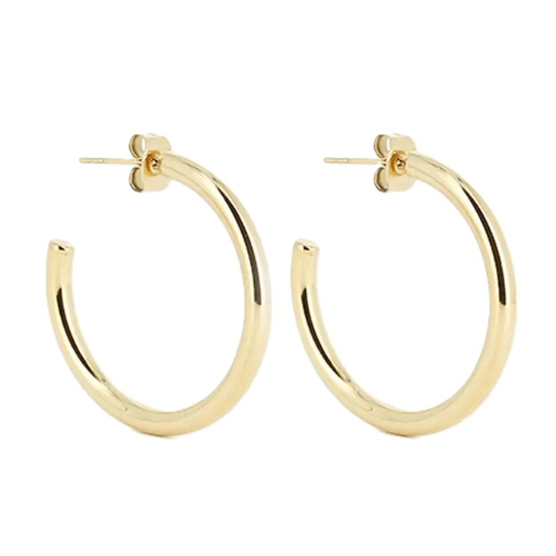 Picture of ZAG Earrings
