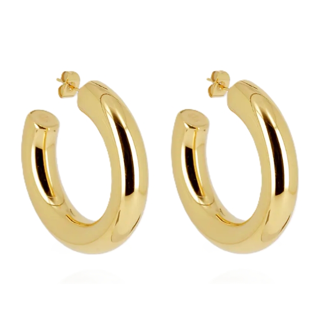 Picture of ZAG Earrings