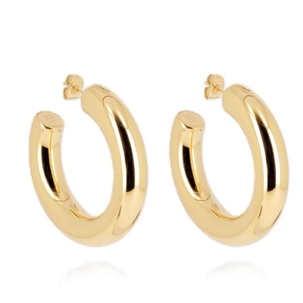 Picture of ZAG Earrings