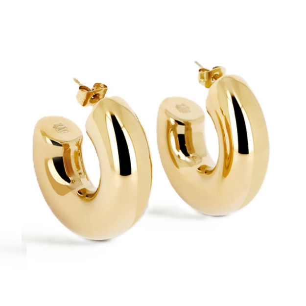 Picture of ZAG Earrings