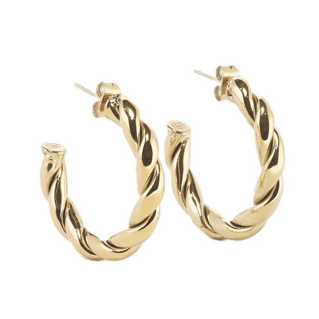 Picture of ZAG Earrings