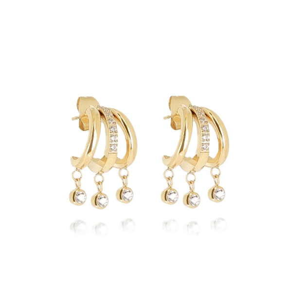 Picture of ZAG Earrings