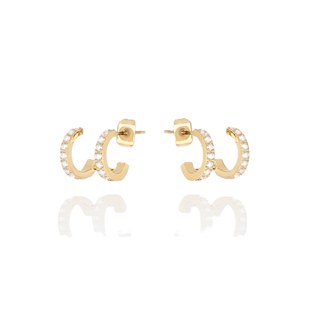 Picture of ZAG Earrings
