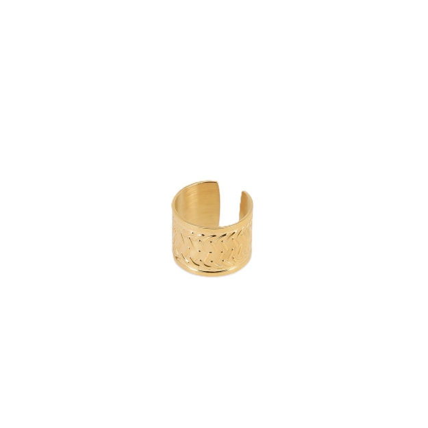 Picture of ZAG Ear jewellery