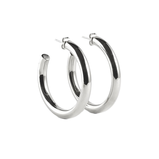 Picture of ZAG Earrings