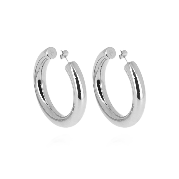Picture of ZAG Earrings