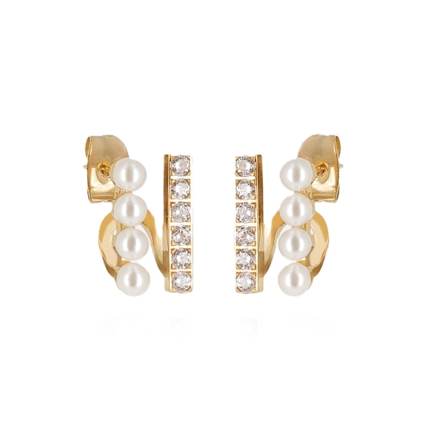 Picture of ZAG Earrings